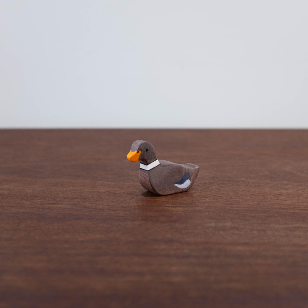 Holztiger Swimming Duck