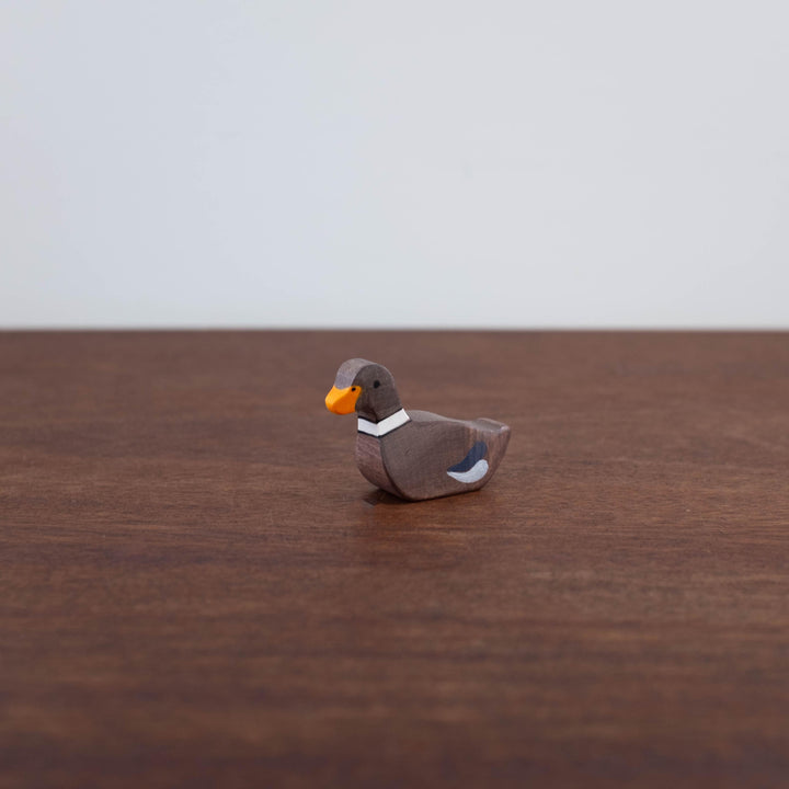 Holztiger Swimming Duck