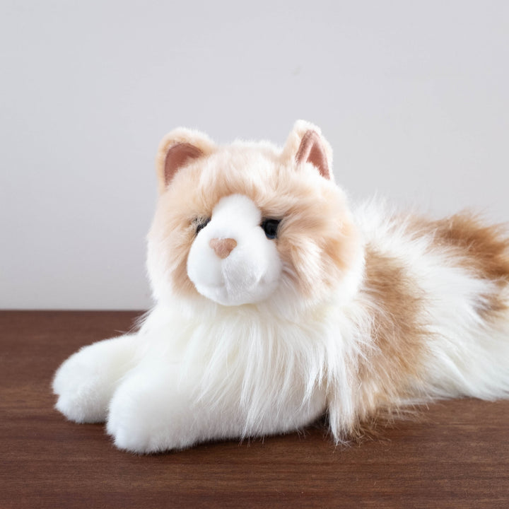 NEW Cuddly Dolls: Kiki Ragdoll
