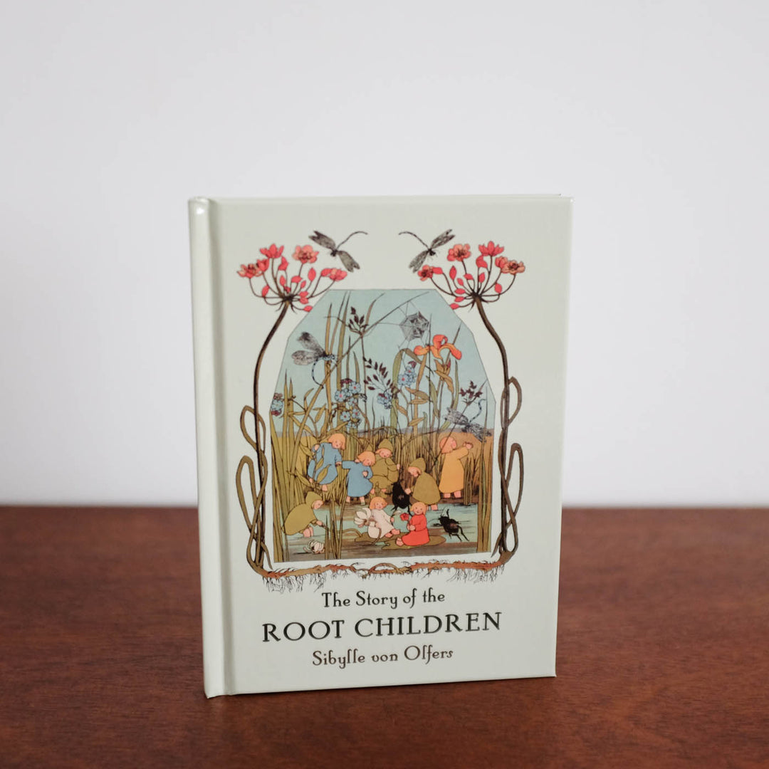 NEW The Story Of The Root Children Mini  Book