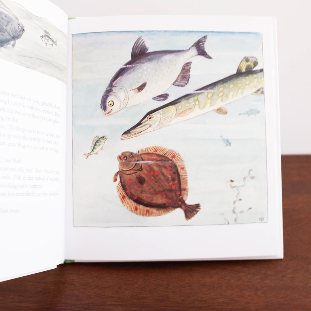 NEW The Curious Fish Book