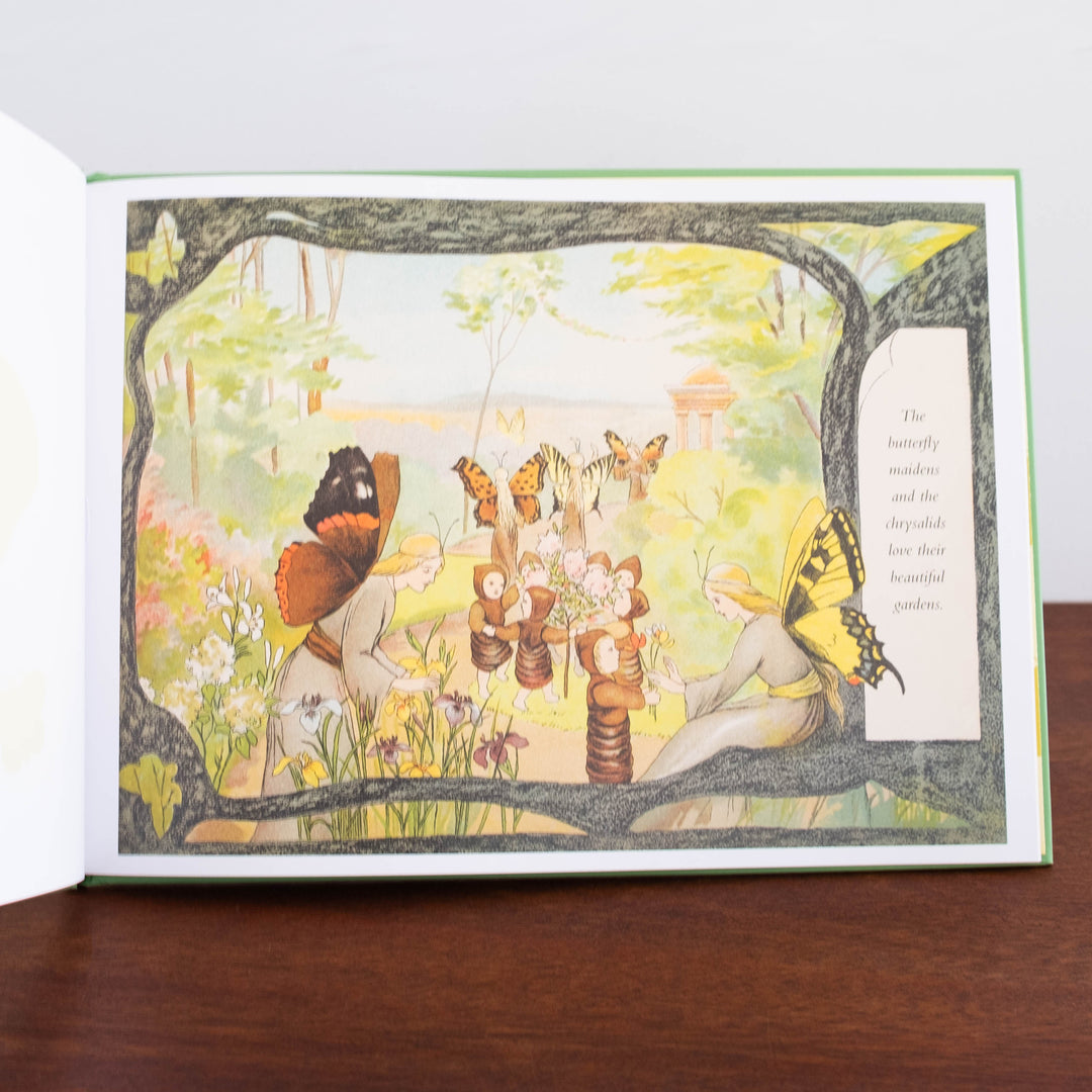 NEW The Story of the Butterfly Children Book- Two Sizes Available!