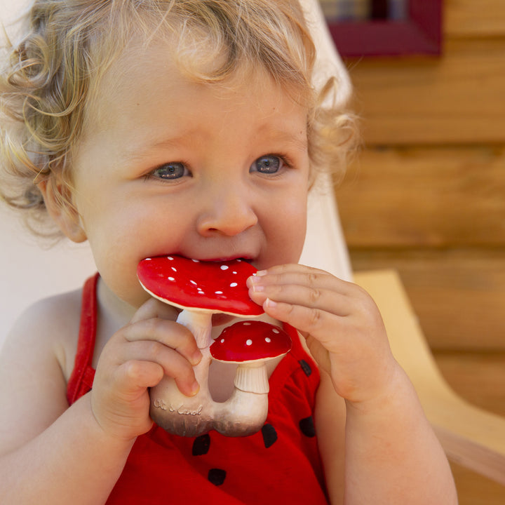 NEW Spot the Mushroom Teether Toy